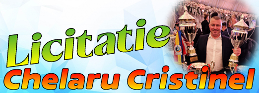 https://www.columbofil.net/index.php?act=licitatii&id=2508