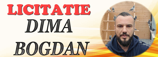 https://www.columbofil.net/index.php?act=licitatii&id=2564