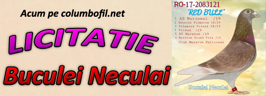 https://www.columbofil.net/index.php?act=licitatii&id=2534