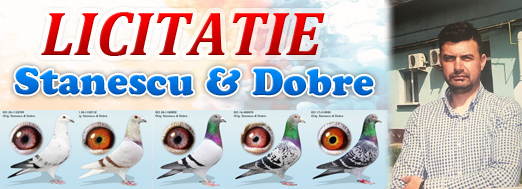https://www.columbofil.net/index.php?act=licitatii&id=2751