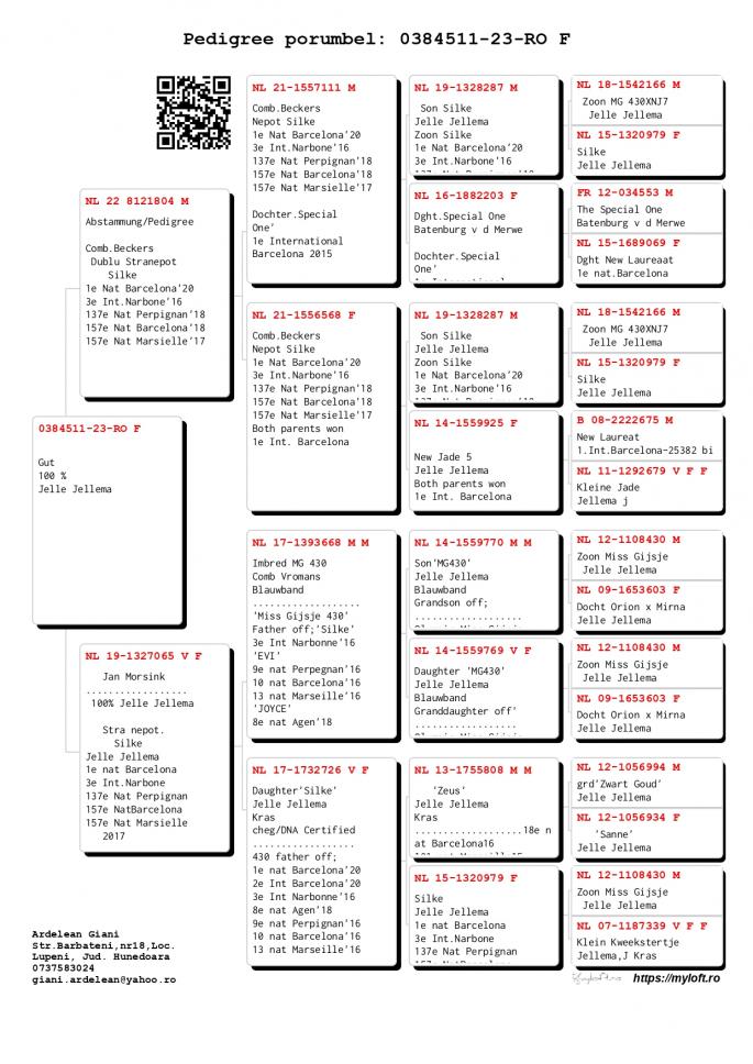Columbofil Licitatii Porumbei columbofil-licitatii-porumbei