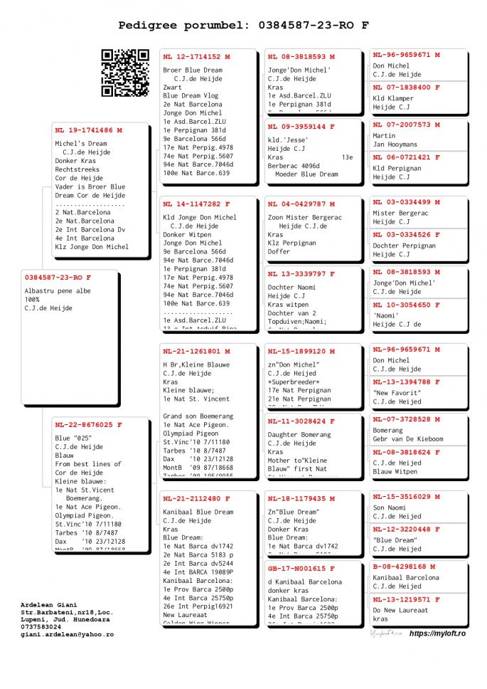 columbofil-licitatii-porumbei
